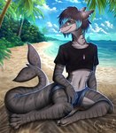 ambiguous_gender anthro beach clothed clothing cloud crop_top crystalberry detailed_background digital_media_(artwork) fish gem hair jewelry looking_at_viewer mammal marine necklace palm_tree plant sand sea seaside shark shirt sky smile solo topwear tree water wave