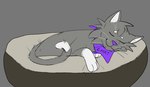 cat_tail eyes_closed feral fur grey_body grey_fur hair kerchief kerchief_only male mostly_nude purple_nose simple_background sleeping smile solo tail young young_feral young_male missjackieart chat_cat domestic_cat felid feline felis mammal