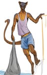 anthro black_eyes bottomwear brown_body brown_fur clothed clothing countershading fishing_net fur long_tail looking_at_viewer male net outside shirt shorts simple_background solo tail tank_top topwear water scuotivento euplerid fossa mammal digital_media_(artwork) hi_res