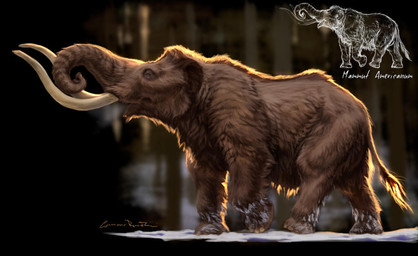 brown_body brown_fur feral fluffy fur proboscis_(anatomy) quadruped snow solo trunk_(anatomy) tusks grazianoroccatani mammal mastodon prehistoric_species proboscidean 2020 digital_media_(artwork) digital_painting_(artwork) painting_(artwork)