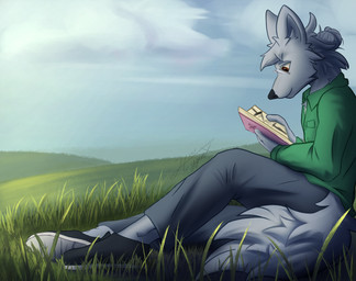 anthro book clothed clothing comic_book eyewear fur glasses grass grey_body grey_fur hair hair_bun male nature peaceful plant reading side_view sitting solo hyginx art_fight canid canine canis domestic_dog mammal absurd_res hi_res