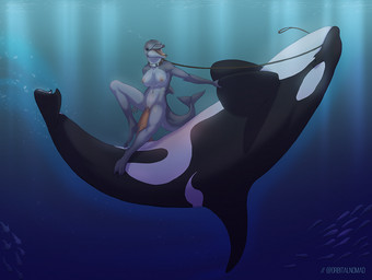 air_bubble animal_genitalia animal_penis anthro anthro_on_feral anthro_penetrated beady_eyes bestiality big_breasts black_eyes breasts cetacean_genitalia cetacean_penis clitoris clitoris_piercing collar dominant dominant_feral dominant_male dorsal_fin duo_focus elbow_fin erection feet female female_on_top female_penetrated feral feral_penetrating feral_penetrating_anthro fin flukes fully/fully_submerged fully_submerged genital_piercing genital_slit genitals group larger_dom larger_feral larger_male leash leash_in_mouth leash_pull light male male/female male_on_bottom male_penetrating male_penetrating_female membrane_(anatomy) nipple_chain nipple_piercing nipple_ring nipples nude object_in_mouth on_bottom on_top open_mouth penetration penis piercing plantigrade ring_piercing sex sex_in_water side_saddle_position size_difference smaller_anthro smaller_female snout submissive submissive_female tail tapering_penis toes underwater underwater_sex vaginal vaginal_penetration vulva vulva_piercing water webbed_feet webbed_hands vagabond_(artist) ambient_sealife aquatic cetacean dolphin mammal oceanic_dolphin orca toothed_whale 2019