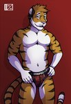 anthro black_body black_fur black_stripes brown_body brown_fur brown_hair bulge clothed clothing countershading dipstick_tail front_view fur gloves_(marking) hair hands_on_hips inner_ear_fluff looking_at_viewer male markings muscular muscular_male navel nipples pecs pink_nose red_background simple_background solo stripes tail tail_markings tuft underwear underwear_only whisker_spots white_body white_fur yellow_eyes d3mo karuzo felid mammal pantherine tiger 2020 cel_shading portrait shaded signature three-quarter_portrait