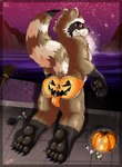 anthro brown_body brown_fur bulge candy dessert duo feet food fruit fur holidays jack-o'-lantern looking_at_viewer looking_back looking_back_at_viewer male markings plant pumpkin pumpkin_butt raised_tail rear_view red_eyes ring_(marking) ringed_tail smile solo_focus striped_markings striped_tail stripes tail tail_markings insanysage guardians_of_the_galaxy halloween marvel rocket_raccoon arachnid arthropod mammal procyonid raccoon spider hi_res