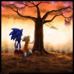 anthro blue_body blue_fur bodily_fluids clothing crying duo eyes_closed footwear fur gloves hand_on_head handwear male multi_tail outside plant shoes sunset tail tears tree yellow_body yellow_fur mylafox sega sonic_the_hedgehog_(series) miles_prower sonic_the_hedgehog canid canine eulipotyphlan fox hedgehog mammal 1:1