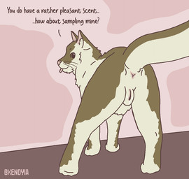 anus bodily_fluids butt dialogue female feral genital_fluids genitals looking_back presenting presenting_hindquarters raised_tail rear_view solo tail tail_anus text vaginal_fluids vulva xenoyia dark_souls fromsoftware sweet_shalquoir domestic_cat felid feline felis mammal english_text