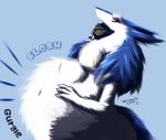 anthro belly big_belly blue_body blue_fur female fluffy fur looking_at_viewer navel open_mouth simple_background smile solo text vore white_body white_fur waismuth dorota_gierymska sergal 2016 hi_res