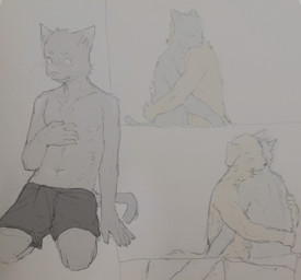 anthro blush clothed clothing duo erection erection_under_clothing happy hug hugging_another male male/male shy topless yellow_body lee082176180909 canid canine canis domestic_cat domestic_dog felid feline felis mammal hi_res