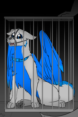 ambiguous_gender animal_genitalia animal_vulva anthro back_wings black_nose blue_body blue_eyes bodily_fluids cage caged canine_genitalia canine_vulva cheek_tuft collar crying duo eyebrows facial_tuft feathered_wings feathers female female_focus feral fluffy fluffy_tail genitals mostly_offscreen_character multicolored_body muzzle_(object) muzzled open_mouth pawpads quadruped sitting sitting_on_ground solo_focus tail tears teeth tongue tuft two_tone_body white_body wings fuf mythology garret_mvahd_(oc) canid canine canis domestic_dog dragon mammal mythological_creature mythological_scalie scalie 2019 hi_res