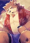 anthro bottomwear brown_body clothing humanoid_hands kemono male shirt shorts sitting solo topwear boar_stag144 canid canine canis domestic_dog mammal 2022 absurd_res hi_res