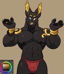 abs anthro bulge clothing detailed_bulge male muscular muscular_anthro muscular_male nipples pawpads pecs solo underwear haps adastra adastra_(series) echo_project neferu_(adastra) anubian_jackal canid canine canis jackal mammal hi_res