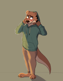 anthro bottomwear brown_bottomwear brown_clothing brown_pants claws clothed clothed_anthro clothed_male clothing green_clothing green_hoodie green_topwear hoodie male male_anthro pants solo standing tail toe_claws topwear whiskers chromawolf atmac_(character) mammal mustelid otter hi_res