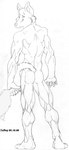 anthro butt holding_tail looking_at_viewer looking_back looking_back_at_viewer male muscular muscular_anthro muscular_male nude solo tail nudog canid canine fox mammal 2000 black_and_white graphite_(artwork) hi_res monochrome traditional_media_(artwork)