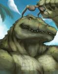 5_fingers amber_eyes anthro blue_sky claws cloud day eyewear fingers green_body green_scales looking_at_viewer male muscular muscular_anthro muscular_male outside pecs scales scar sky solo sunglasses cinna-tree alligator alligatorid crocodilian reptile scalie 2016 bust_portrait hi_res portrait