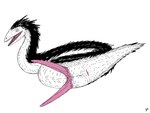 2_penises animal_genitalia animal_penis anus balls belly black_body black_feathers butt diphallism earhole feathers feral forked_tongue genitals horizontal_anus horizontal_slit looking_at_viewer male mane multi_genitalia multi_penis neck_tuft penis pink_anus pink_mouth pink_penis pointy_snout presenting presenting_anus presenting_hindquarters presenting_penis simple_background smile solo tail tail_tuft tapering_penis teeth tongue tuft white_background white_belly zw3 feathered_scalie reptile scalie snake 2025 4:3 digital_media_(artwork) hi_res restricted_palette