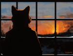 2015 anthro canid canine clothed clothing digital_media_(artwork) fur mammal signature silhouette solo standing trunorth window