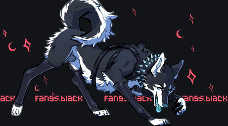 animal_genitalia armwear black_background black_body black_claws black_fur black_harness black_latex blue_eyes blue_nose blue_tongue claws clothing collar curly_hair fangs feral fur genitals hair harness latex latex_armwear latex_clothing latex_legwear leggings legwear male multicolored_body multicolored_fur pointy_ears quadruped sheath simple_background smile smiling_at_viewer smirk smirking_at_viewer solo spiked_collar spikes teeth tongue two_tone_body two_tone_fur white_body white_fur fangs.black canid canine canis domestic_dog husky hybrid mammal nordic_sled_dog spitz wolf wolfdog hi_res