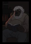 anthro beard book cabin coach elderly facial_hair fire fireplace grey_hair hair herasim male night reading religion solo sweather moronsuka jesus_christ bear mammal absurd_res hi_res