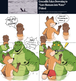 anthro big_muscles blush blush_stickers clothed clothing dialogue duo exclamation_point huge_muscles kissing male male_anthro muscular muscular_anthro muscular_male news news_article nipples nude_anthro nude_male simple_background size_difference speech_bubble text topless topless_anthro topless_male umbrella ruffusbleu johnny_the_alli-gay-tor alligator alligatorid canid canine crocodilian fox mammal reptile scalie comic english_text hi_res