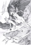 anthro beak feathered_wings feathers flying group male tail wings alectorfencer mythology avian canid canine canis felid gryphon lion mammal mythological_avian mythological_creature pantherine wolf line_art monochrome