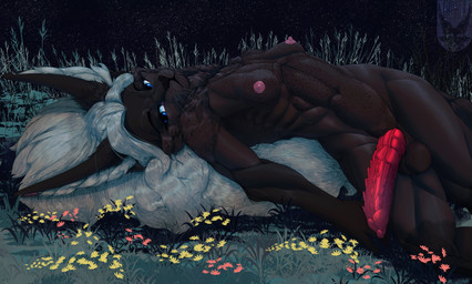 abs animal_genitalia animal_penis anthro areola athletic athletic_anthro big_penis black_body black_fur blonde_hair blue_eyes breasts casual_nudity erection feline_genitalia feline_penis fur genitals grass gynomorph gynomorph_anthro hair half-erect intersex intersex_anthro knot knotted_penis long_ears long_hair lying muscular muscular_anthro muscular_gynomorph muscular_intersex nature nature_background navel night nipples nude nude_anthro nude_gynomorph on_back on_grass on_ground outdoor_nudity pecs penile_spines penis plant slim small_breasts small_waist solo vein veiny_knot veiny_penis white_hair ferrn toshi_(ferrn) felid feline mammal pantherine absurd_res digital_drawing_(artwork) digital_media_(artwork) hi_res