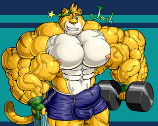 anthro big_bulge big_muscles bulge detailed_bulge huge_bulge huge_muscles hyper hyper_muscles male muscular muscular_male simple_background smile smiling_at_viewer smirk smirking_at_viewer solo vein veiny_muscles weights zerozero felid mammal pantherine tiger hi_res