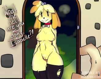 accessory ambiguous_gender anthro anthro_focus big_breasts black_clothing black_eyes black_legwear black_nose black_stockings blonde_hair bodily_fluids breasts clothing collar dialogue disembodied_hand doorway duo faceless_ambiguous faceless_character faceless_human female female_focus first_person_view fur genitals hair hair_accessory human_pov inside legwear looking_at_viewer mostly_nude nipples orange_body orange_fur orange_hair pink_nipples red_collar smile solo_focus stockings sweat text thick_thighs torn_clothing torn_legwear torn_stockings vulva yellow_body yellow_fur anonjustanon animal_crossing nintendo isabelle_(animal_crossing) canid canine canis domestic_dog human mammal shih_tzu toy_dog 2024 absurd_res english_text hi_res