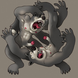 abs anthro barking black_nose caricature claws duo erection fangs fight genitals glans grey_body intertwined male male/male muscular muscular_male pecs penis pink_glans pink_tongue silly silly_face simple_background small_eyes teeth tongue tongue_out ravuer canid canine canis mammal wolf 1:1 hi_res
