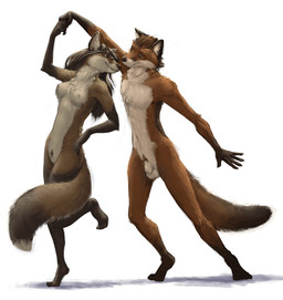 4_toes 5_fingers animal_genitalia anthro anthro_on_anthro balls black_nose breasts brown_hair dancing duo eye_contact feet female fingers fur genitals hair hand_holding hindpaw humanoid_feet humanoid_hands looking_at_another male male/female multicolored_body multicolored_fur navel nipples nude nude_anthro nude_female nude_male paws penis plantigrade pubes red_body red_fur sheath smile smiling_at_another smiling_at_partner tail toes two_tone_body two_tone_fur vulva white_body white_breasts white_fur slate canid canine fox mammal