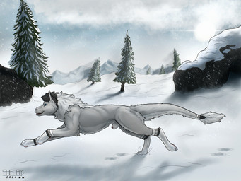 animal_genitalia blue_eyes blue_sky claws closed_sheath_slit feral fully_sheathed fur genitals grey_body grey_fur male male_feral outside pawpads pink_pawpads pink_sheath_slit plant rock running sheath sheath_slit side_view sky snow snowing solo tail tail_tuft text tongue tongue_out tree tuft white_body white_claws white_fur sketchy_shelby mythology dragon furred_dragon furred_scalie mythological_creature mythological_scalie scalie 2014 4:3 artist_name dated hi_res