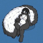 4_toes animal_genitalia anthro balls big_tail biped black_body black_fur black_hair blue_eyes blush breasts chest_tuft feet fluffy fluffy_tail fully_sheathed fur genitals gynomorph hair hindpaw intersex looking_at_viewer nipples nude paws sheath simple_background sitting slightly_chubby solo tail toes tuft hush-a-bye myris mammal mephitid skunk 1:1