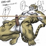 anthro balls erection genitals limbo male muscular muscular_anthro muscular_male navel nude penis simple_background solo stripes tail text white_background bomb_(artist) felid mammal pantherine tiger 1:1 japanese_text translated