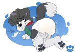 anthro baby bodily_fluids diaper genital_fluids male solo unclean_diaper urine used_diaper wet_diaper wetting wetting_diaper young tobytiger(artist) kc(d) border_collie canid canine canis collie domestic_dog herding_dog mammal pastoral_dog sheepdog