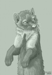 ambiguous_gender feral solo vekke beech_marten gulonine mammal marten mustelid musteline 2008 greyscale monochrome