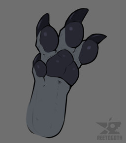 4_toes ambiguous_gender black_pawpads black_toe_claws claws curling_toes dewclaw feet foot_fetish foot_focus grey_background grey_body hindpaw logo pawpads paws simple_background solo spread_toes text toes reetogoth qamito avali avian bird 2d_animation animated artist_name digital_media_(artwork) english_description english_text frame_by_frame hi_res signature