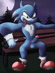 anthro balls bench blue_body clothed clothing erection footwear footwear_only full_moon genitals green_eyes male moon mostly_nude night park_bench penis public public_erection public_exposure shoes shoes_only solo tongue tongue_out mazilion mythology sega sonic_the_hedgehog_(series) sonic_unleashed sonic_the_hedgehog sonic_the_werehog canid canine eulipotyphlan mammal mythological_canine mythological_creature werecanid werecanine werecreature wereeulipotyphlan werehog werewolf absurd_res hi_res