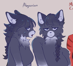 :< anthro blue_eyes blush blush_lines braided_hair breasts ears_back featureless_breasts female frown fur grey_background grey_body grey_fur grey_hair hair inner_ear_fluff looking_at_viewer medium_breasts narrowed_eyes neck_tuft nervous open_mouth pivoted_ears shy simple_background solo text tuft chubberwocky abyssinian_cat domestic_cat felid feline felis mammal 2025 bust_portrait digital_drawing_(artwork) digital_media_(artwork) hi_res model_sheet portrait species_name