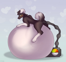 4_toes anal anal_penetration belly big_belly black_body black_fur black_nose blue_background blush feet feral fur green_eyes heart_symbol hose hose_inflation huge_belly hyper hyper_belly hyper_inflation immobile inflation leg_markings looking_at_viewer male markings multicolored_body multicolored_fur penetration simple_background socks_(marking) solo tail toes akushark canid canine canis domestic_dog mammal hi_res shaded