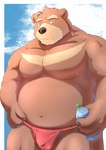 anthro asian_clothing balls barely_visible_balls barely_visible_genitalia black_nose brown_body bulge clothing cloud east_asian_clothing fundoshi genitals japanese_clothing kemono male moobs musclegut muscular navel nipples overweight overweight_male red_clothing red_fundoshi red_underwear solo underwear tail_person bear mammal 2024 hi_res