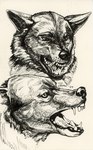 ambiguous_gender angry anthro bared_teeth black_nose disembodied_head duo ears_back fangs feral fur ink inner_ear_fluff lips looking_at_another looking_at_viewer male open_mouth pivoted_ears realistic sharp_teeth side_view simple_background smile snarling snout solo teeth teeth_showing tongue tongue_out tuft white_background zaverose canid canine canis domestic_dog mammal werecanid werecanine werecreature wolf absurd_res black_and_white bust_portrait digital_media_(artwork) greyscale hatching_(art) headshot_portrait hi_res line_art monochrome pen_(artwork) portrait shaded signature sketch traditional_media_(artwork)