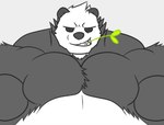 anthro big_muscles fur grin huge_muscles male muscular pecs smile solo bughemoth luigiman nintendo pokemon bear generation_6_pokemon giant_panda mammal pangoro pokemon_(species)