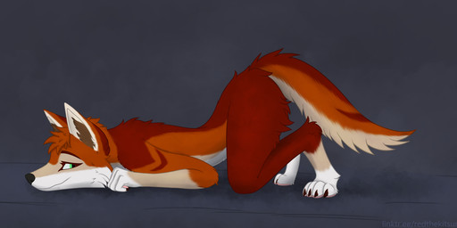 all_fours anthro ass_up biped black_claws brown_inner_ear_fluff claws fur green_eyes hair inner_ear_fluff long_hair looking_back male multicolored_body multicolored_fur orange_body orange_hair orange_tail pawpads paws pink_pawpads pupils red_body side_view solo tail tuft white_hands white_tail red_the_kitsune canid canine canis mammal red_wolf wolf 2026 digital_media_(artwork) full-length_portrait hi_res portrait shaded watermark