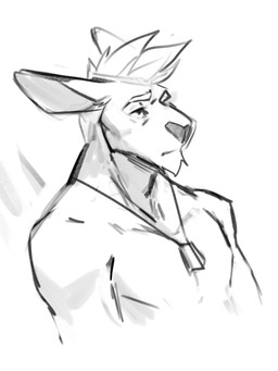 anthro chin_tuft ears_back facial_tuft glistening glistening_eyes hair jewelry male male_anthro mouth_closed narrowed_eyes necklace nude pivoted_ears short_hair simple_background solo tuft solaxe_(artist) solaxe kangaroo macropod mammal marsupial 3:4 bust_portrait hi_res monochrome portrait sketch