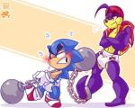 anthro ball_and_chain blush bodily_fluids breath clean_diaper clothed clothing cloud_emanata cross-popping_vein crossed_arms diaper duo emanata flying_sweatdrops iconography male muscular muscular_male straining struggling sweat sweatdrop unimpressed wearing_diaper lilchu data_east high_seas_havoc sega sonic_the_hedgehog_(series) havoc_(high_seas_havoc) sonic_the_hedgehog eulipotyphlan hedgehog mammal marine pinniped seal 5:4