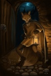 anthro cloak clothing digitigrade inside lamp lantern male melee_weapon night solo sword tail weapon alectorfencer riffuchs canid canine fox mammal 2008