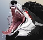 anthro black_body black_fur bodily_fluids fangs fur male mouth_shot open_mouth red_eyes saliva saliva_string simple_background solo teeth throat tongue tongue_out white_body white_fur hellezra canid canine canis mammal wolf absurd_res hi_res