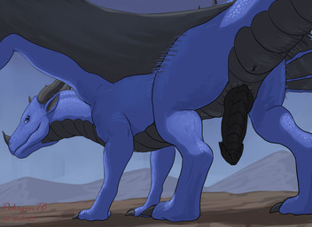 animal_genitalia anus black_body black_penis black_scales blue_body blue_eyes blue_scales butt claws countershade_torso countershading digitigrade erection feral finger_claws genital_slit genitals long_neck looking_at_viewer looking_back low-angle_view male membrane_(anatomy) membranous_wings nose_spike outside penis pupils quadruped scales shadow shaking_butt slit_pupils snout solo standing toe_claws wings pokegontc european_mythology mythology syrazor dragon mythological_creature mythological_scalie scalie western_dragon 11:8 2025 hi_res shaded signature