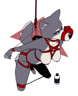 anthro arms_back bdsm bondage bound bow_ribbon breasts collar feet gag gagged genitals gynomorph hanging_breasts harness intersex kneeling looking_at_viewer lube_bottle nipples nude penis raised_tail restraints simple_background snout_tied solo spreader_bar tail pashoo canid canine canis mammal wolf trans_(lore) trans_woman_(lore)