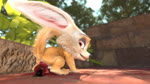 anal anal_masturbation anal_penetration anthro balls bouncing_balls butt dildo dildo_sitting genitals male male_penetrated masturbation nature nude outside penetration sex_toy solo toying_self scimunk disney zootopia finnick_(zootopia) canid canine fennec_fox fox mammal true_fox 16:9 3d_(artwork) 3d_animation animated digital_media_(artwork) hi_res no_sound short_playtime webm widescreen