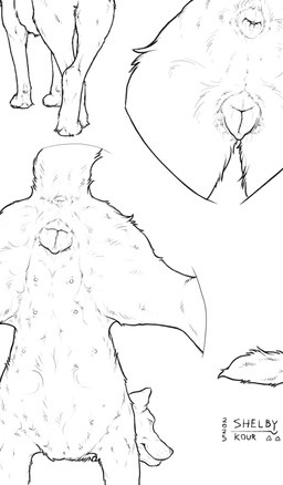 animal_genitalia animal_vulva anus canine_genitalia canine_vulva female female_feral feral genitals mouth_closed simple_background solo tail sketchy_shelby canid canine mammal 2025 dated hi_res monochrome signature sketch sketch_page